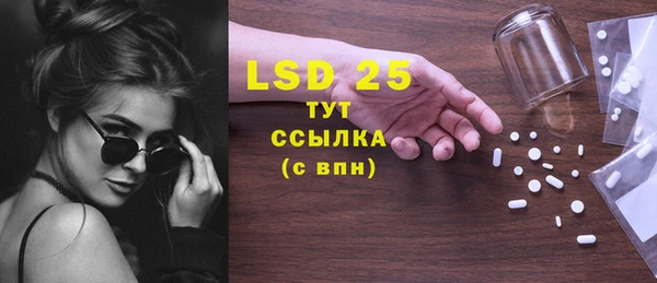 PSILOCYBIN Каменка