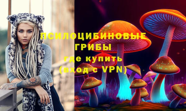 меф Каменск-Шахтинский