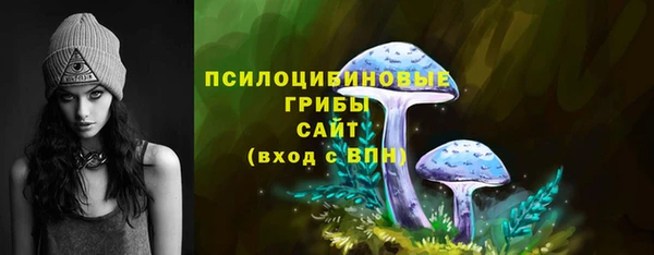 герыч Каменногорск