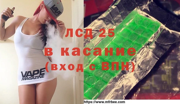 PSILOCYBIN Каменка
