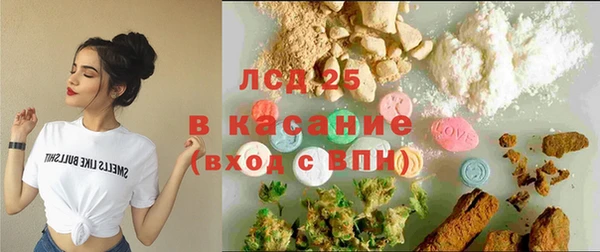 PSILOCYBIN Каменка